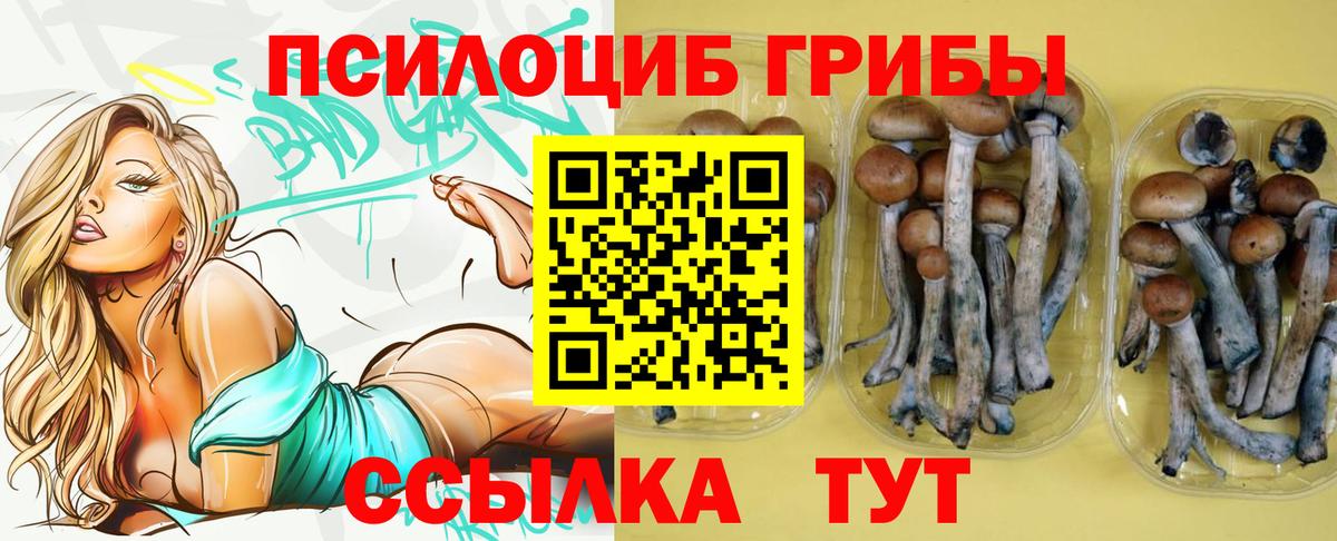 Новоуральск  Псилоцибиновые грибы мухоморы  Вход с VPN 